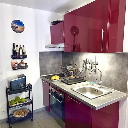 Apartament 4 Places Confort Avec Grande Terrasse Saint-Cyprien (Pyrenees-Orientales)